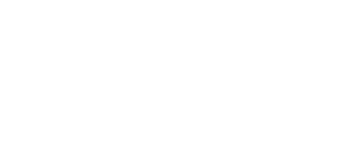SoFoKleS logo wit